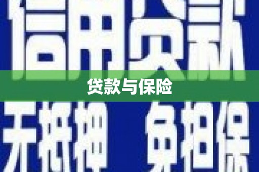 双阳贷款与保险