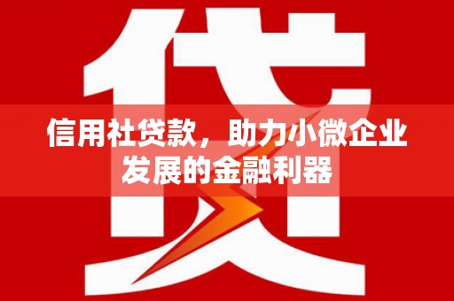 双阳信用社贷款，助力小微企业发展的金融利器