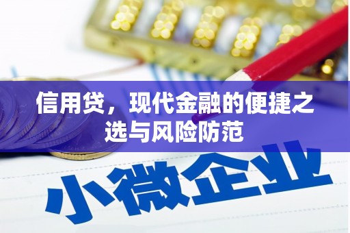 双阳信用贷，现代金融的便捷之选与风险防范