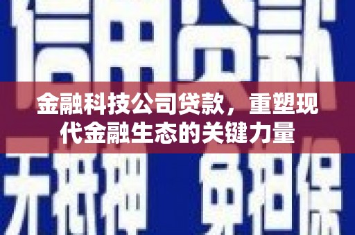 双阳金融科技公司贷款，重塑现代金融生态的关键力量