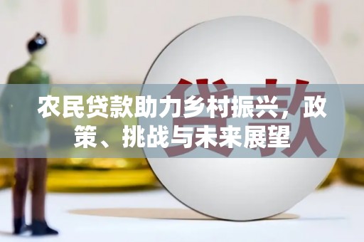 双阳农民贷款助力乡村振兴，政策、挑战与未来展望