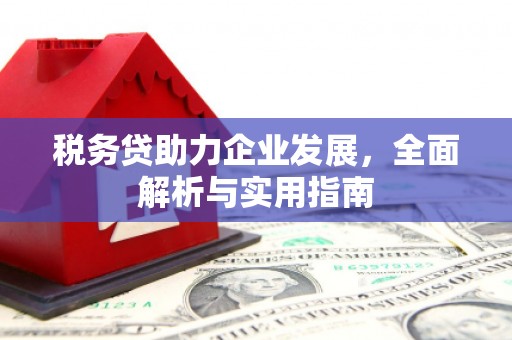 双阳税务贷助力企业发展，全面解析与实用指南