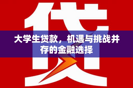 双阳大学生贷款，机遇与挑战并存的金融选择