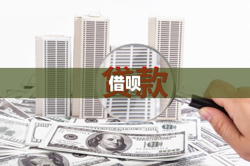 双阳借呗