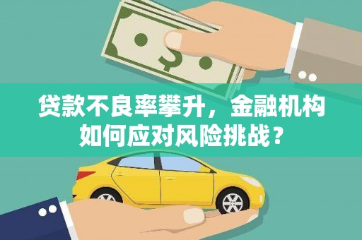 双阳贷款不良率攀升，金融机构如何应对风险挑战？