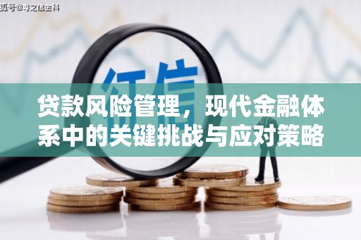 双阳贷款风险管理，现代金融体系中的关键挑战与应对策略