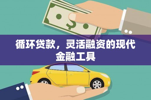 双阳循环贷款，灵活融资的现代金融工具