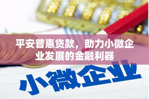 双阳平安普惠贷款，助力小微企业发展的金融利器