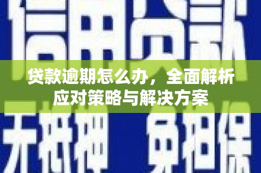 双阳贷款逾期怎么办，全面解析应对策略与解决方案