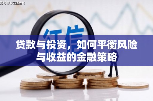 双阳贷款与投资，如何平衡风险与收益的金融策略