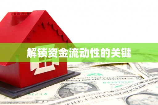 双阳解锁资金流动性的关键