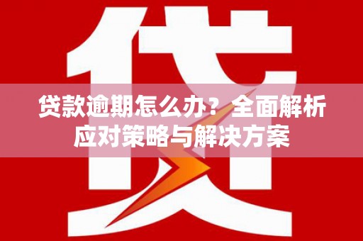 双阳贷款逾期怎么办？全面解析应对策略与解决方案